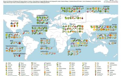 Mapa interativo mostra de onde vem nossa comida