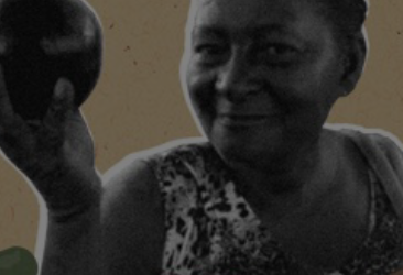 Sementes crioulas: verdadeiros patrimônios genéticos