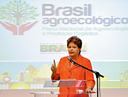 dilma brasil agroecologico