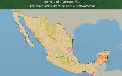 30 anos de transgênicos no México
