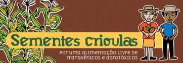 Boletim Sementes Crioulas: por uma alimentação livre de transgênicos e agrotóxicos