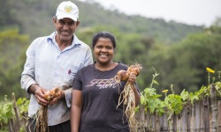 Da família agricultora para a familia da cidade: Cooperativa de Acaiaca distribui alimentos saudáveis em tempos de pandemia