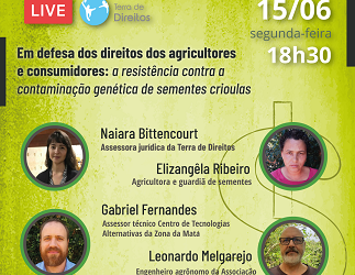 Contaminação de sementes crioulas e impactos para agricultores e consumidores é tema de debate online