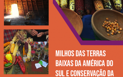 LANÇAMENTO: Milhos das Terras Baixas da América do Sul e Conservação da Agrobiodiversidade no Brasil e no Uruguai