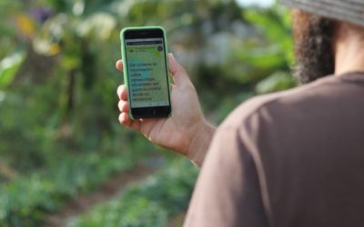 Segurança digital e produção de conhecimento: a importância do software livre para o movimento agroecológico
